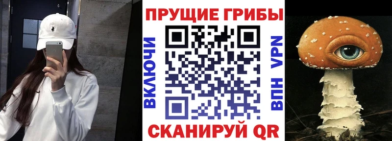 ОМГ ОМГ зеркало  Беломорск  Псилоцибиновые грибы Magic Shrooms 
